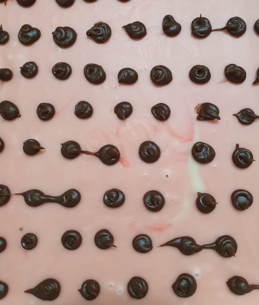 Watermelon Fudge (GF)