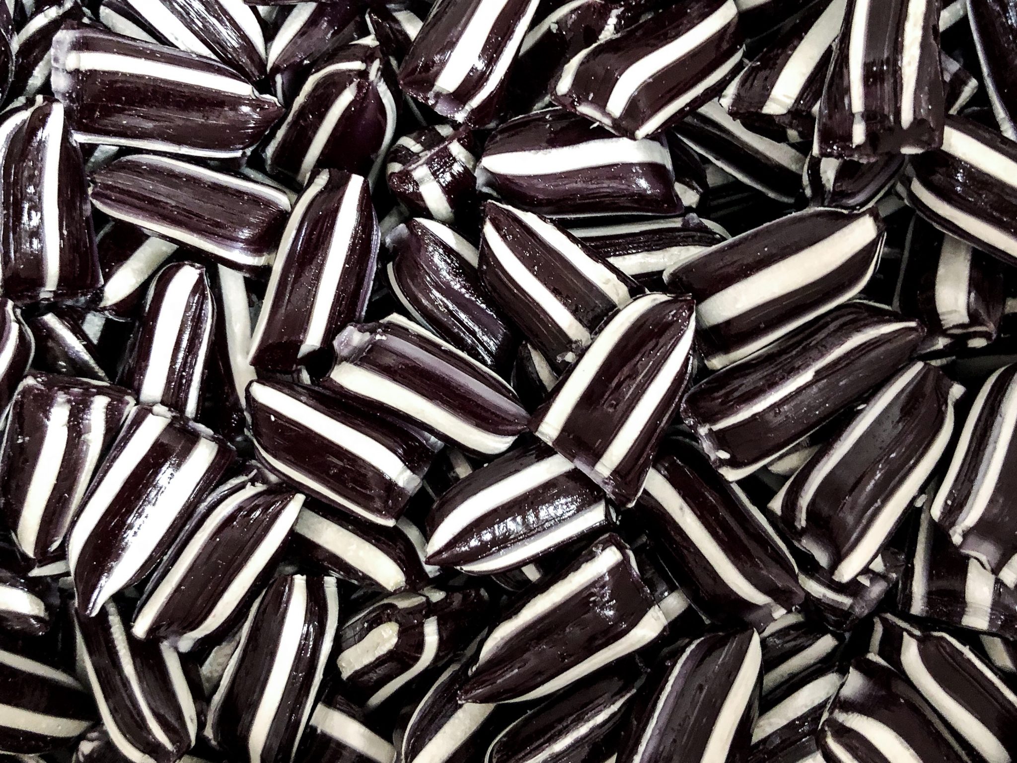 Peppermint Humbugs Candy Cow