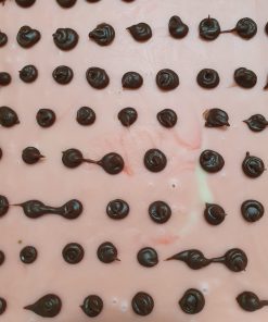 Watermelon Fudge (GF)