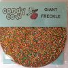 Giant Chocolate Freckle